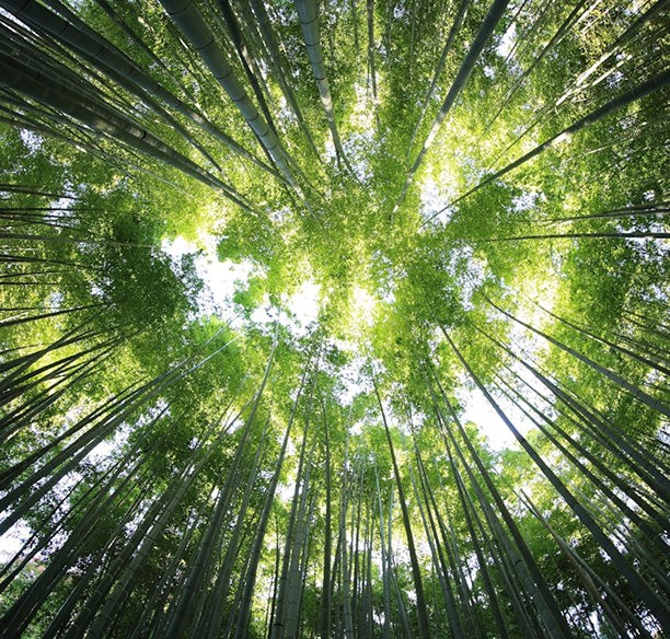 Sustainability & Traceability in Logistics